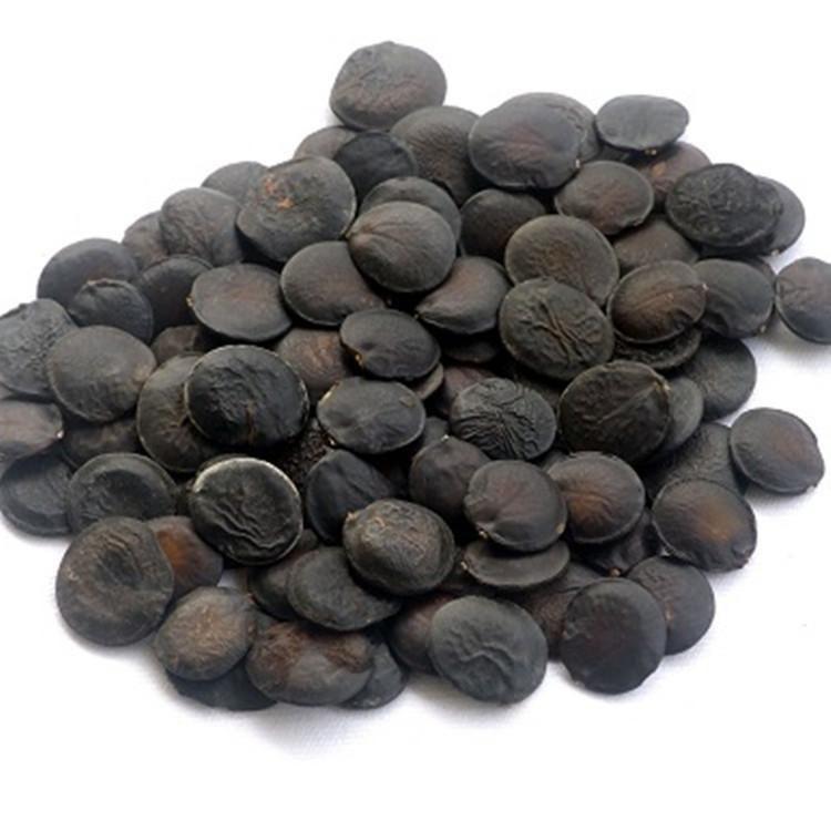 Griffonia (Griffonia simplicifolia)