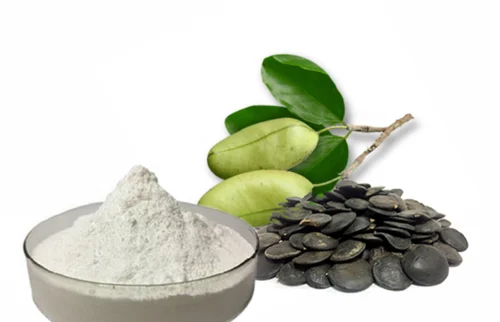 Premium Medicinal Seeds