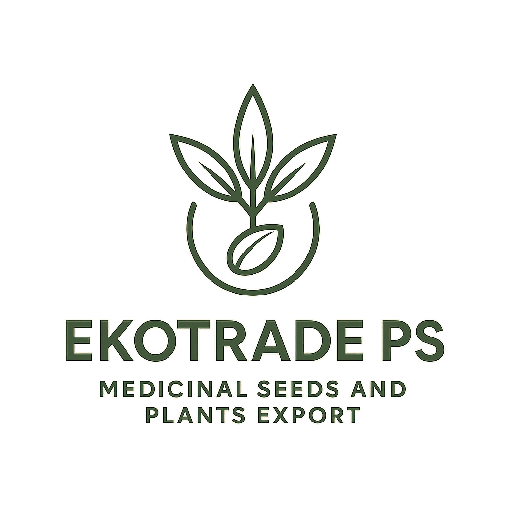 Medicinal Seeds Export